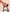 ###Orange
