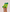 ###Clover