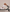 ###Black